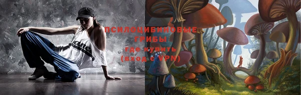 шишки Балахна