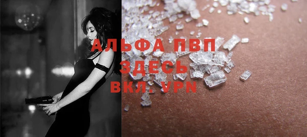 индика Балабаново