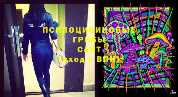 индика Балабаново