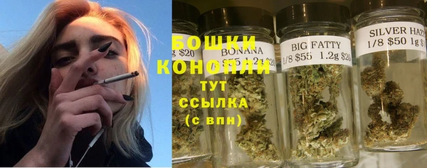 шишки Балахна