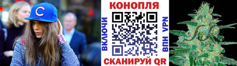 Купить  Анива  Конопля план 